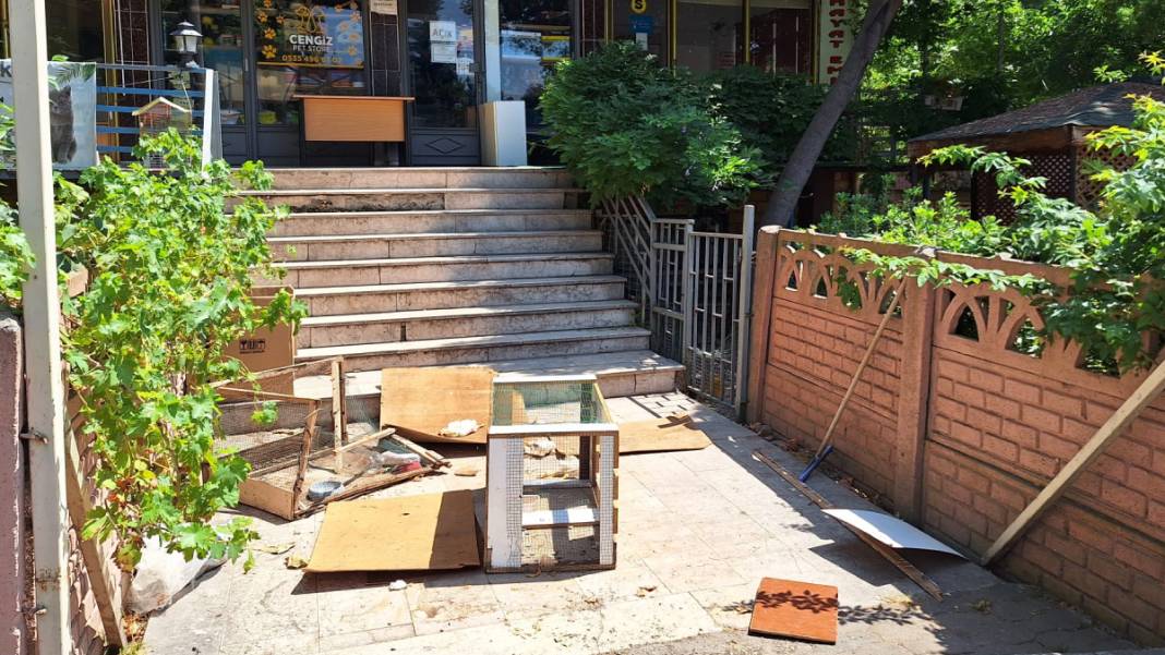 Kocaeli'de pet shop katliamı: Dükkanımın önüne hayvanlarımın ölüsünü atmışlar 3